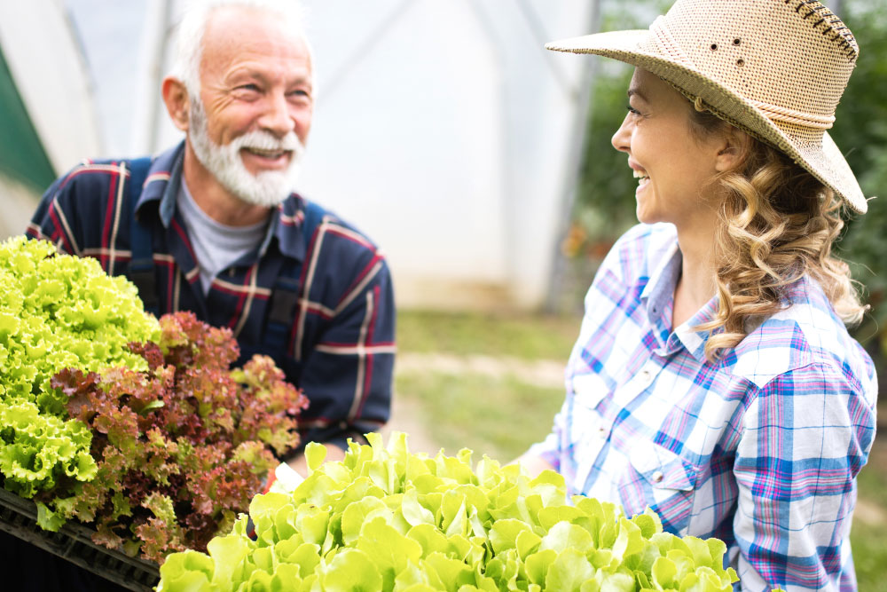 Two people holding vegetables, smiling at each other